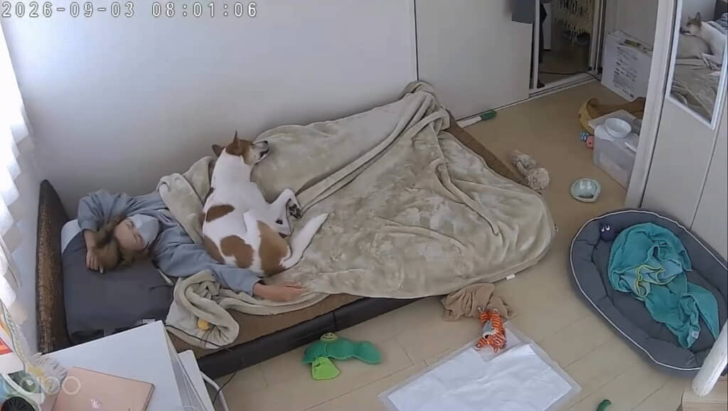 これで静かに眠れるね