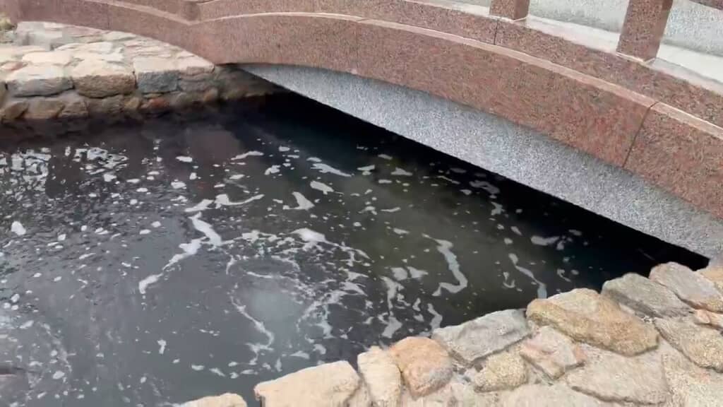 ふと水路に目をやると……