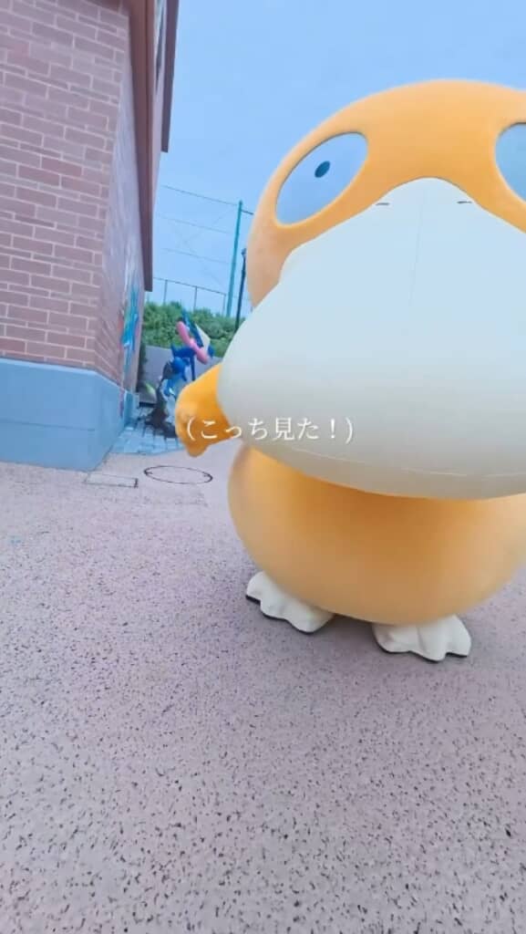 コダックに遭遇！
