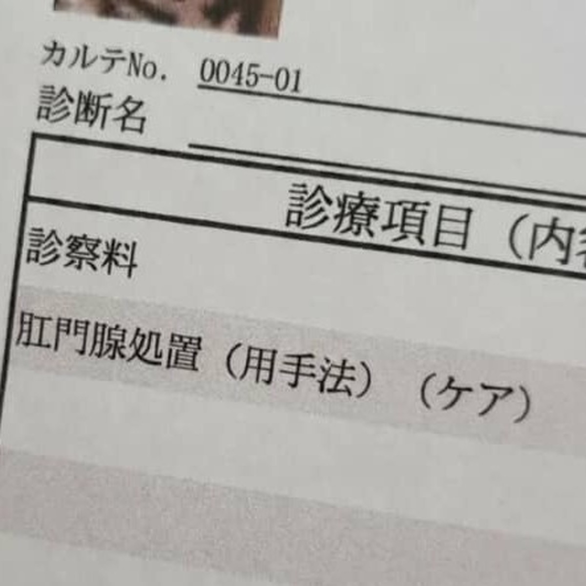 愛犬が大嫌いな病院で撮った“カルテ用ショット”が154万表示「ごめんね笑っちゃった」「怒ってるwww」(1/3) | 犬 ねとらぼ