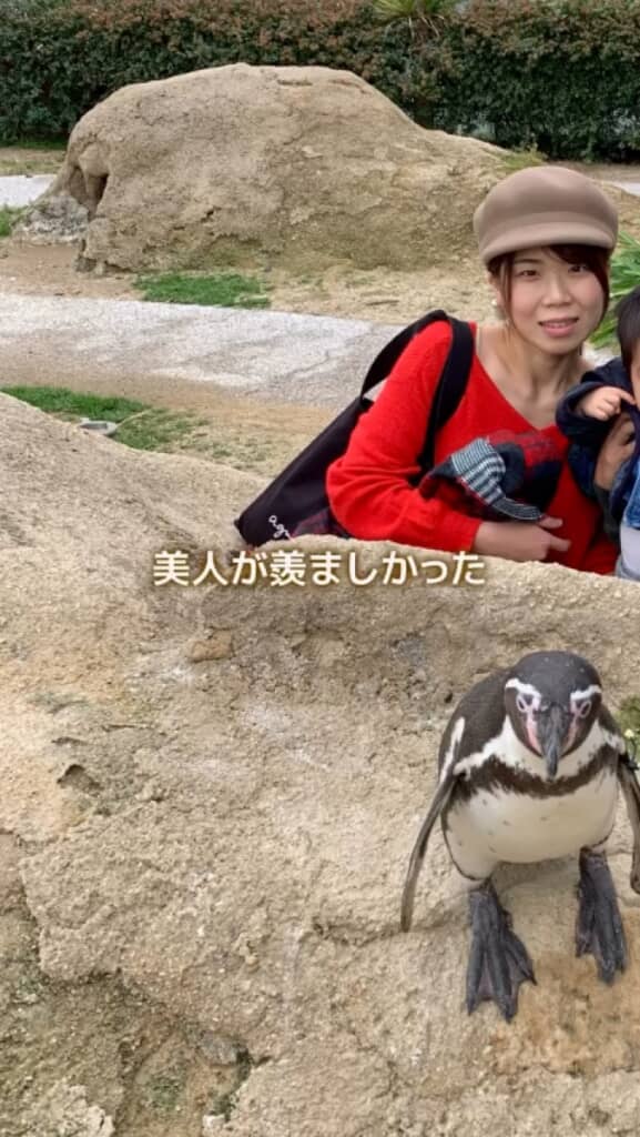 美人がうらやましいと感じていた