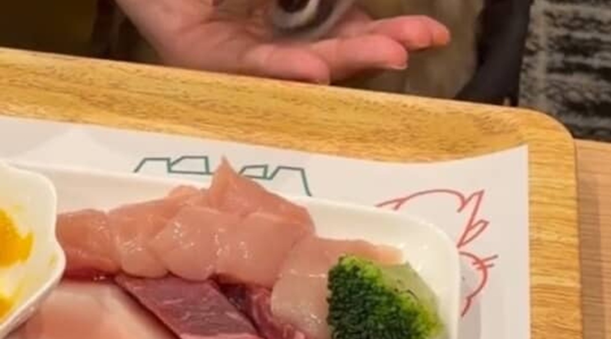 13歳の愛犬に、初めて焼き肉をあげてみたら……　1秒後の表情に「ぶっ飛んじゃってるww」「顔芸のオンパレード」（1/2） | 犬 ねとらぼ