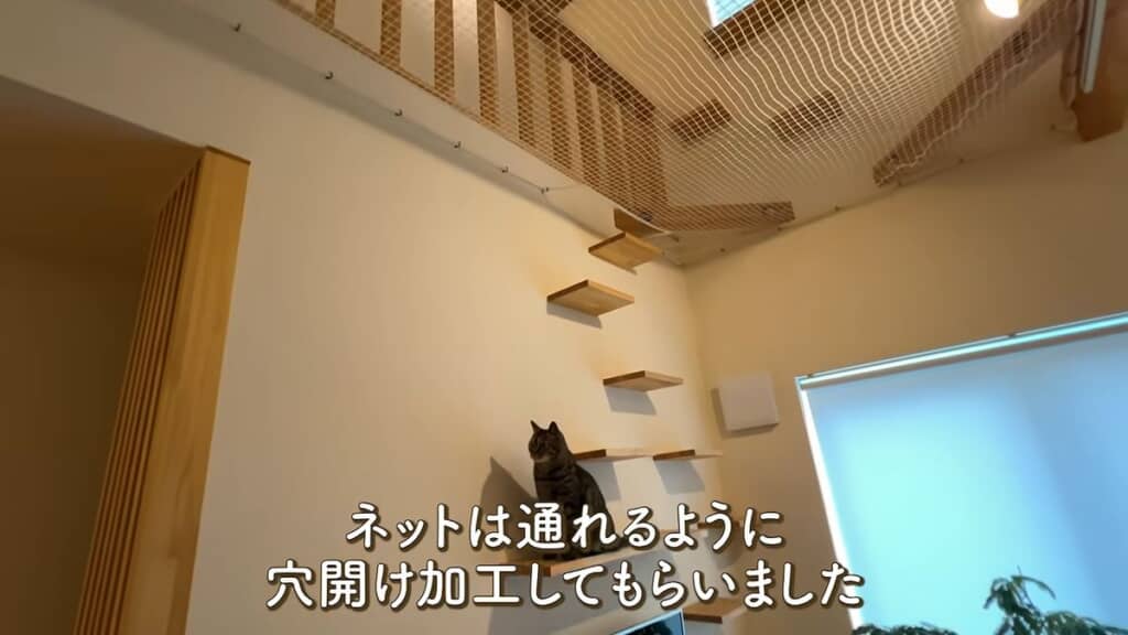 キャットステップと穴があけてあるネット