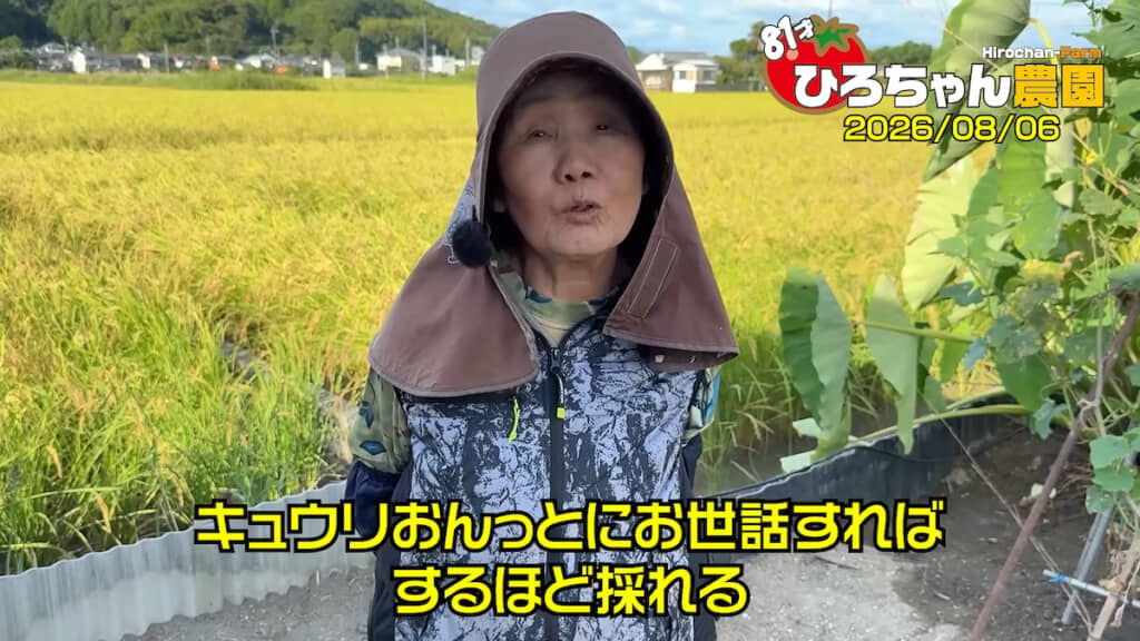 採れすぎるキュウリに飽きてきた