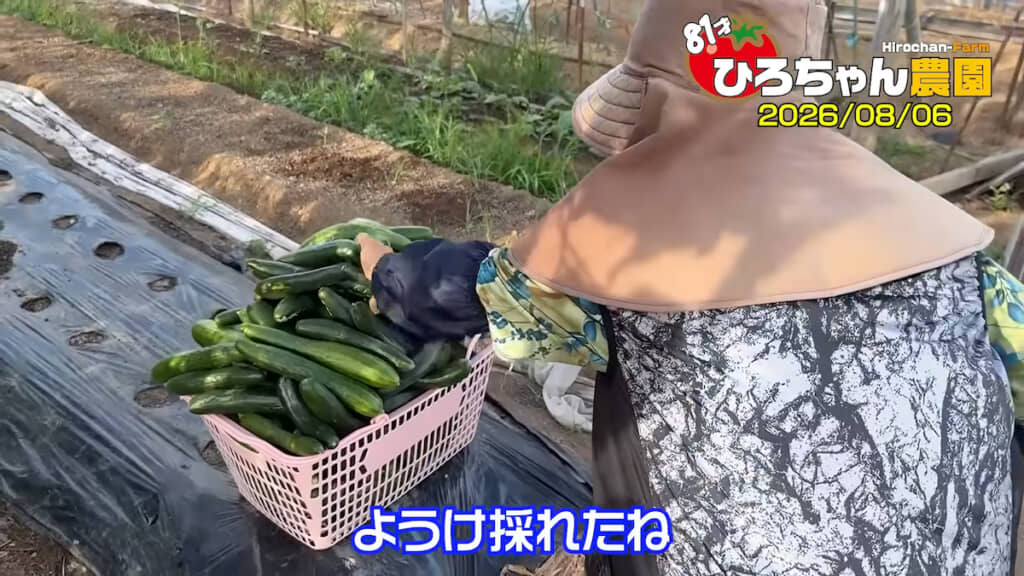 めっちゃ採れた!