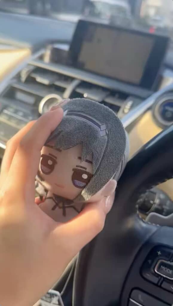 暑い日にぬいぐるみを車内放置していたら……