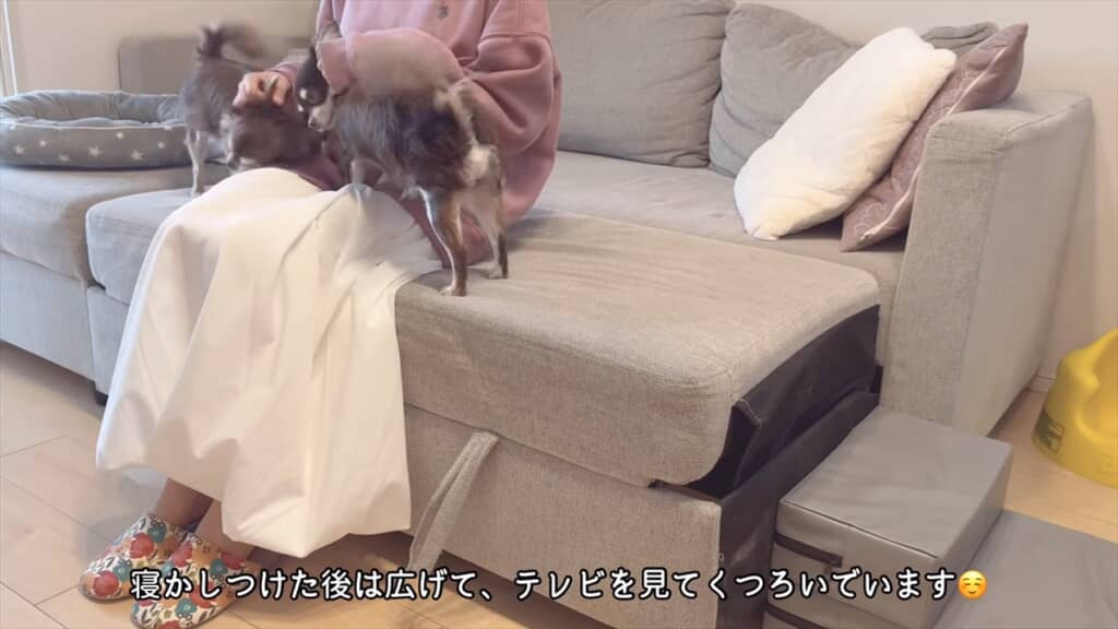 家族と愛犬がくつろぐソファベッド
