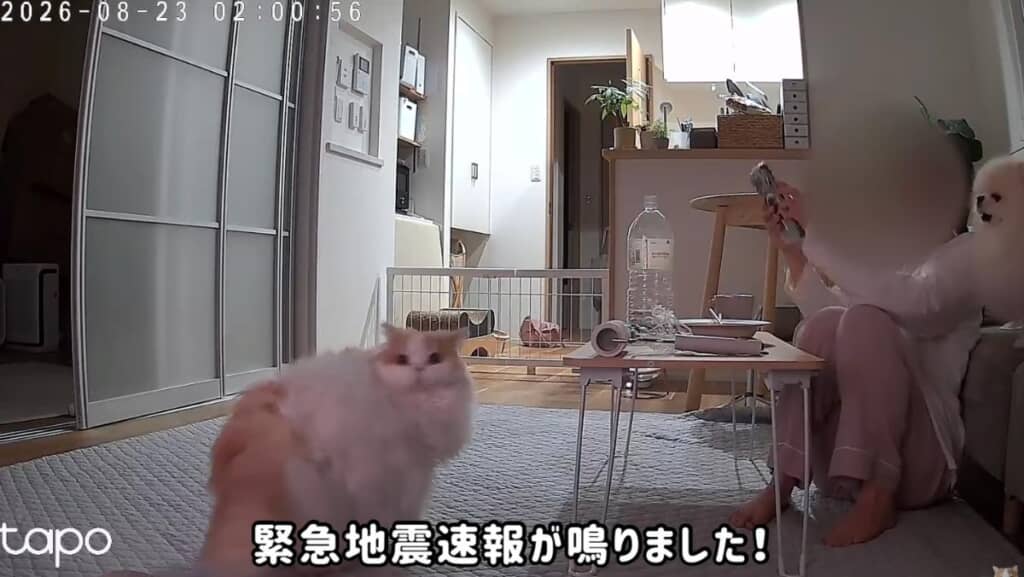 携帯からいきなり「緊急地震速報」が!?