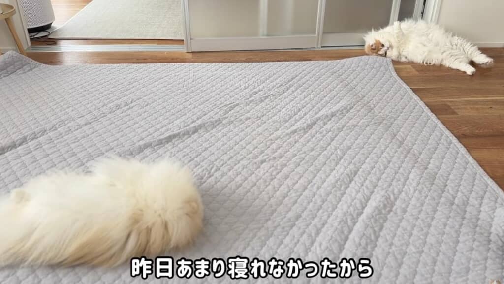 余震もなく、無事に翌日を迎えられました
