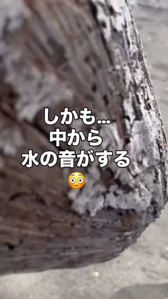 飲めそうにありませんが、中にはまだジュースが残っている様子