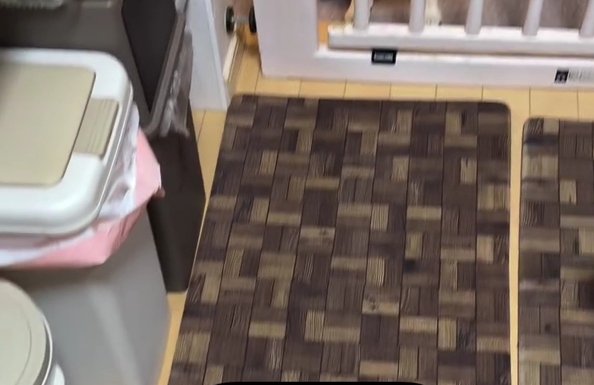 久しぶりにスペアリブを煮込み、ふと振り返ったら……「いやいやいや」　250万再生の光景に「声出して笑った」「最高ｗ」（1/2） | 犬 ねとらぼ