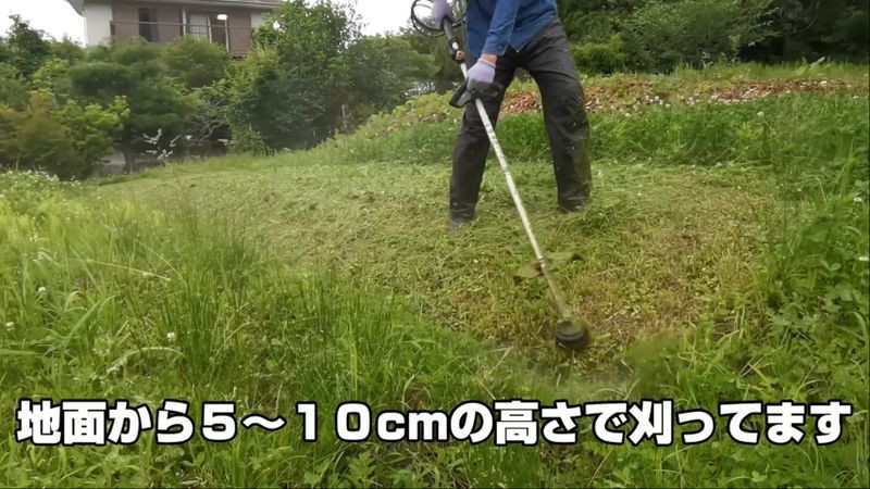 地面から少し離れた位置を切る「高刈り」
