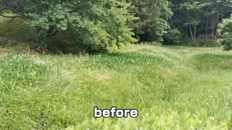 草が生い茂っているところを……
