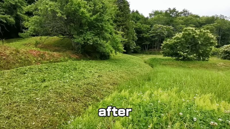 これくらい“高刈り”しました