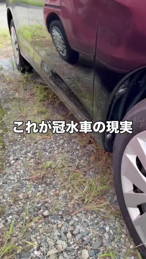 冠水車の現実を紹介