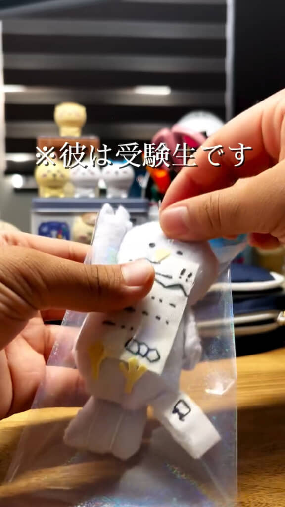 袋に入れて……