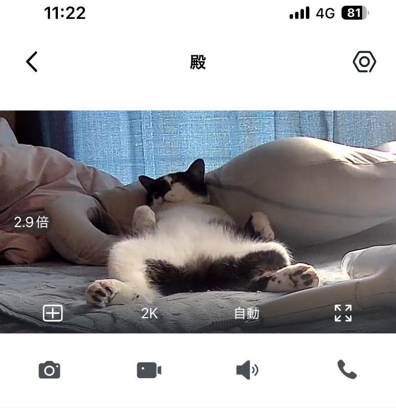 安心しきってる!