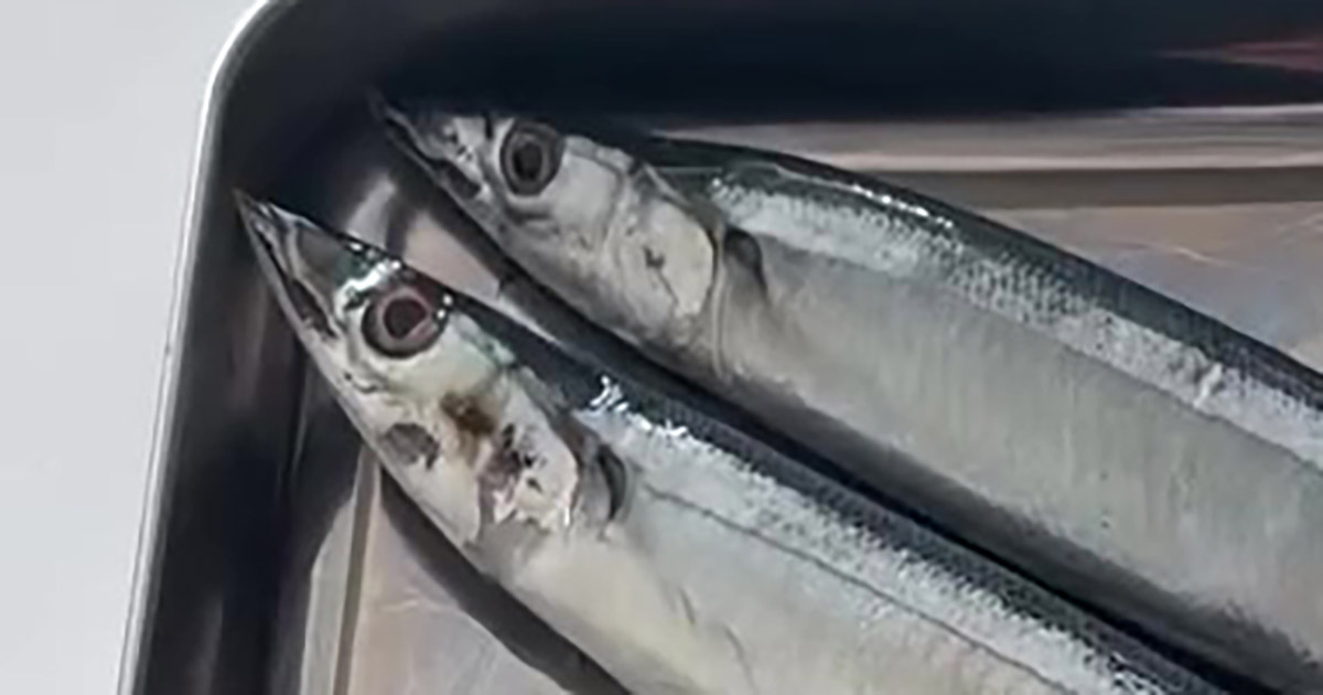 サンマ、そのまま焼かないで！　魚屋さん直伝の裏ワザに「知りませんでした」「こんなにあるなんて」「早速やってみます」（1/3） | ライフハック ねとらぼ