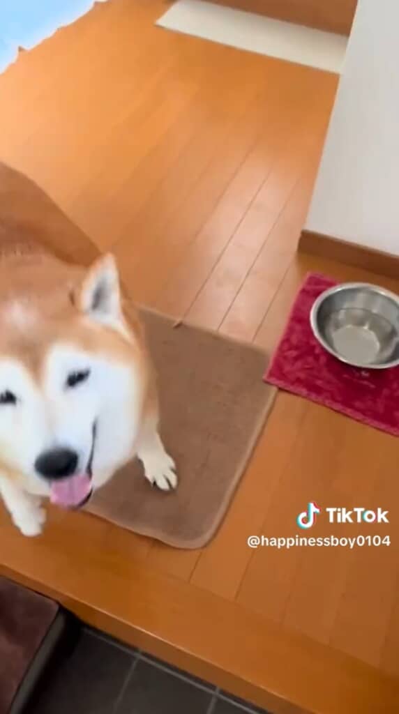ニッコニコの福くん