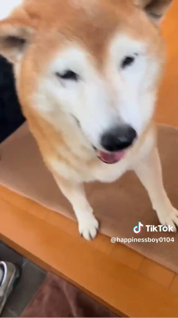 母に顔を近づけます