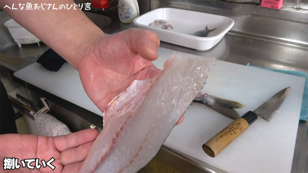 キチヌの脂ノリは食べてみないとわかりません