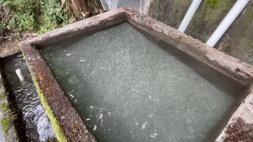 時間経過とともに透明度が増していく3槽目の水