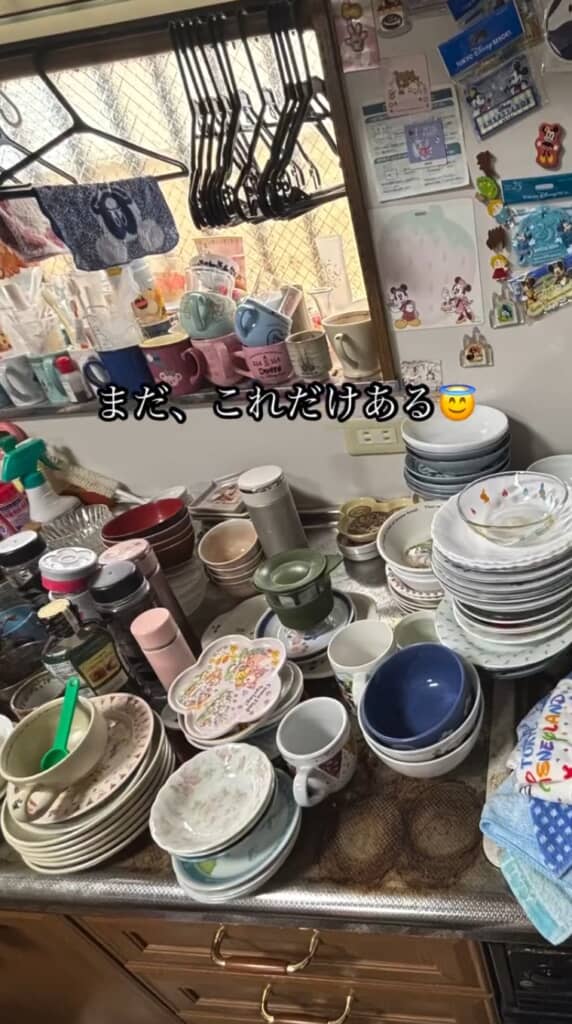 キッチンにむき出しで置かれた大量の皿