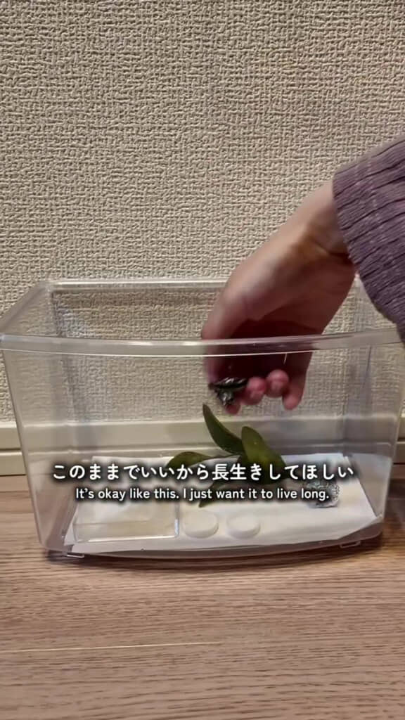 せめて過ごしやすい環境を……