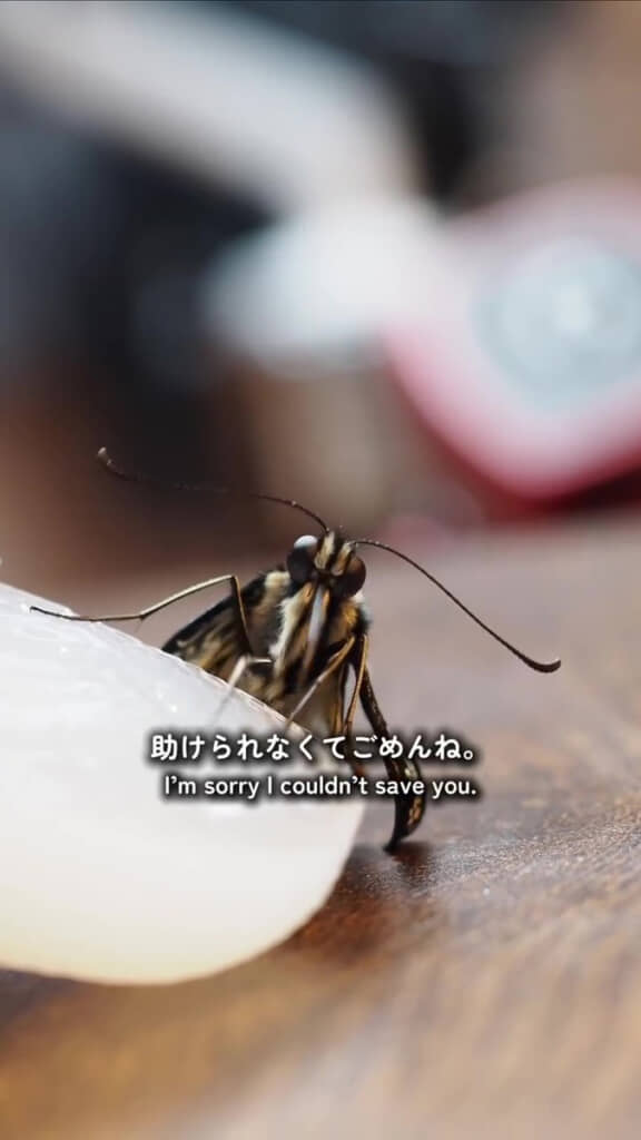 自然界は厳しい……