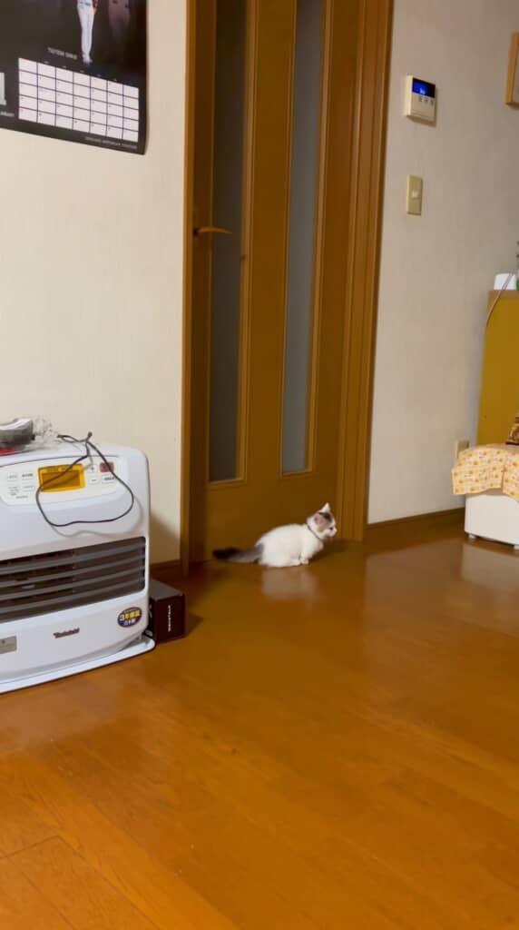 ママ出てこない……
