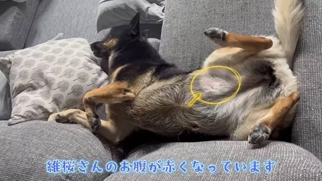 一部分が赤くなってしまっています