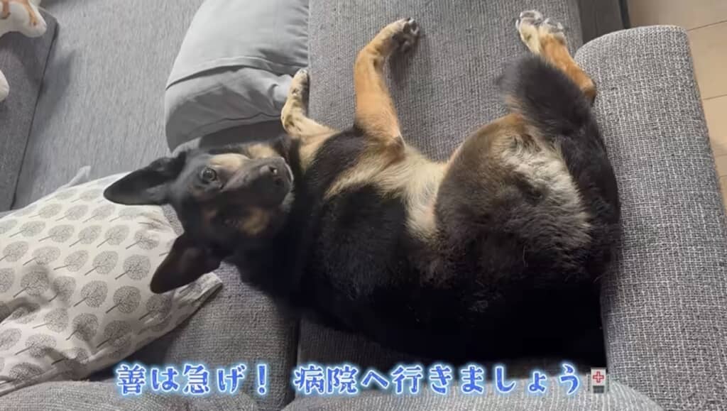 ドコイクノ?