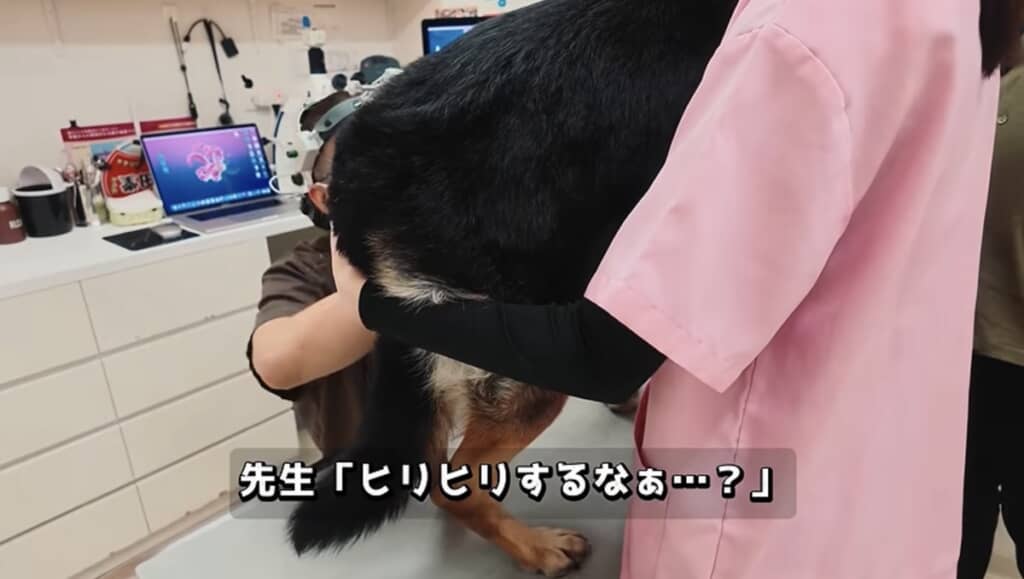 蚊に刺されたところが痒くてかいてしまったようです