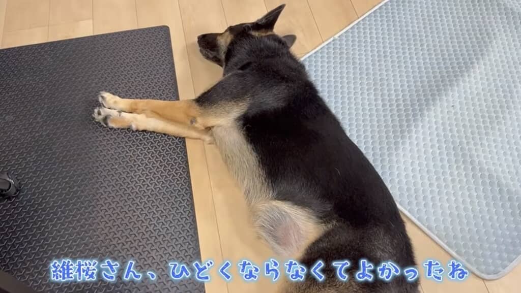 5日後、だいぶ赤みが引きました