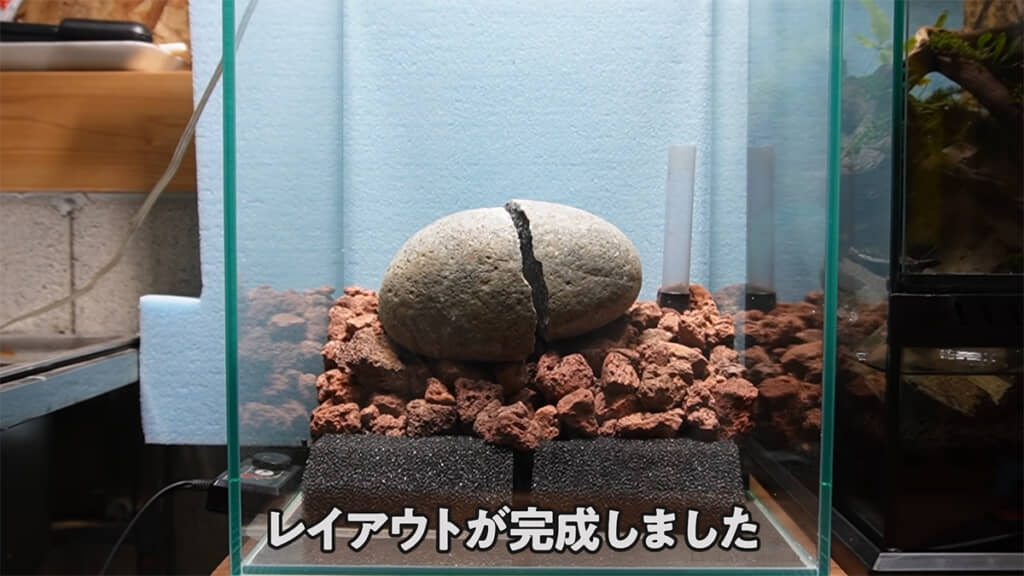 レイアウトが完成しました!