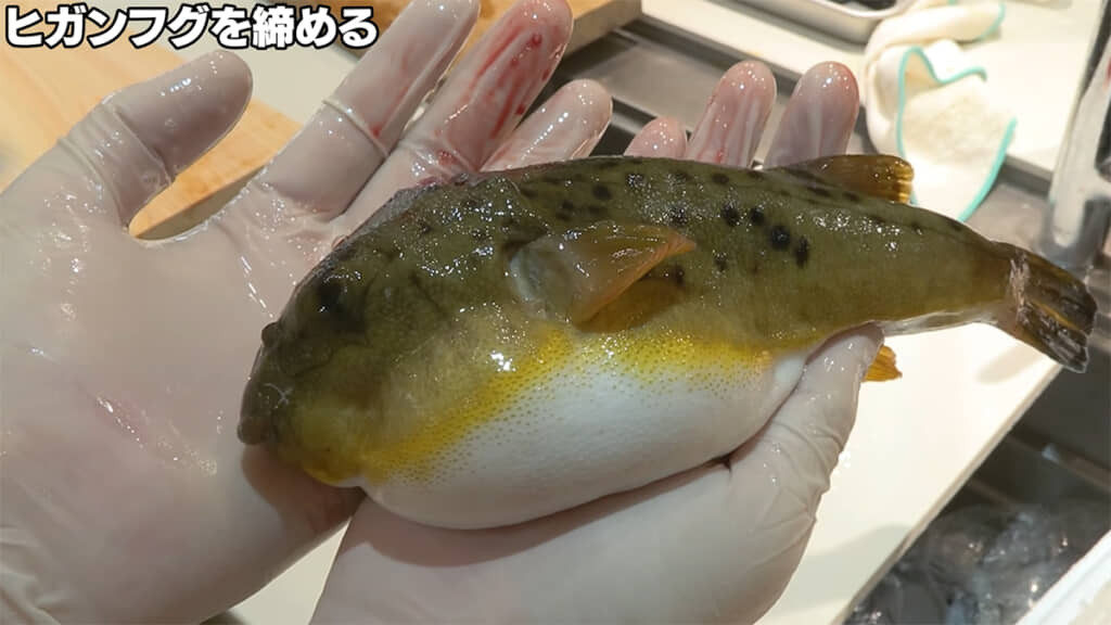 小さな命をありがたくいただきます