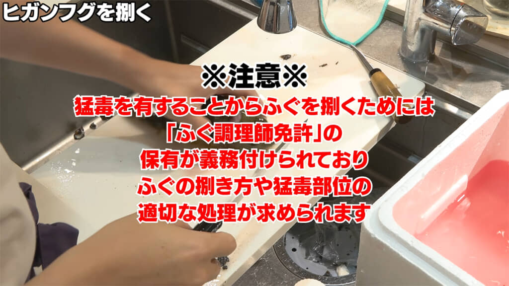 フグをさばくには免許が必要です