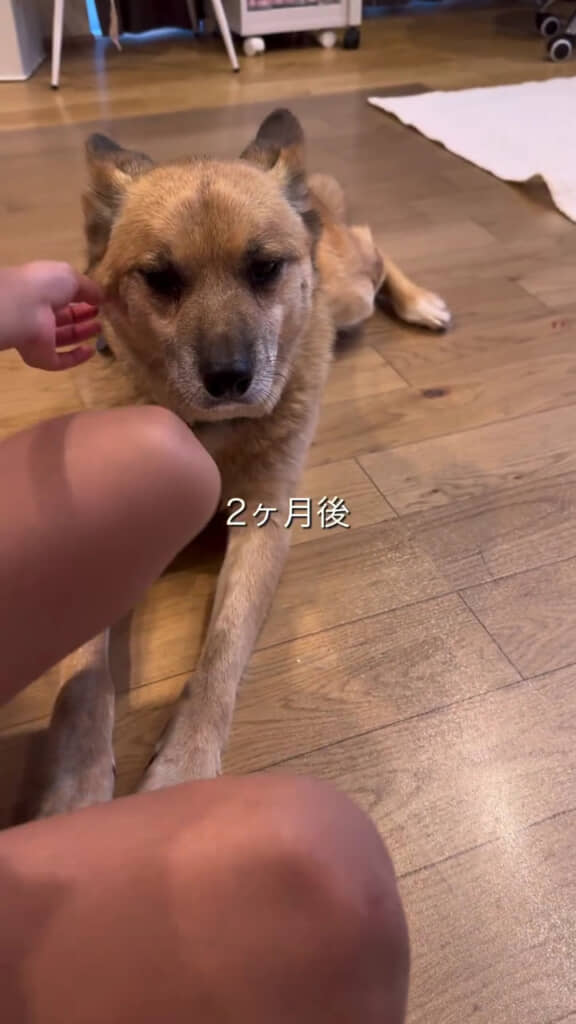 落ち着きつつも無表情