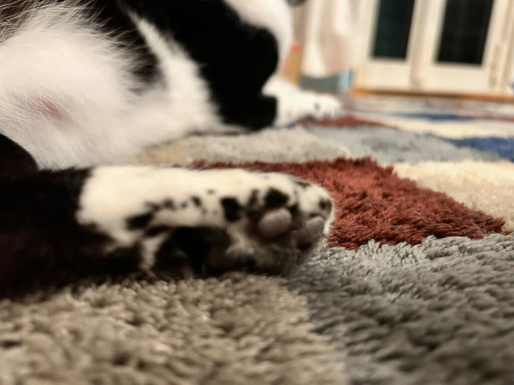アイス食べたくなる……