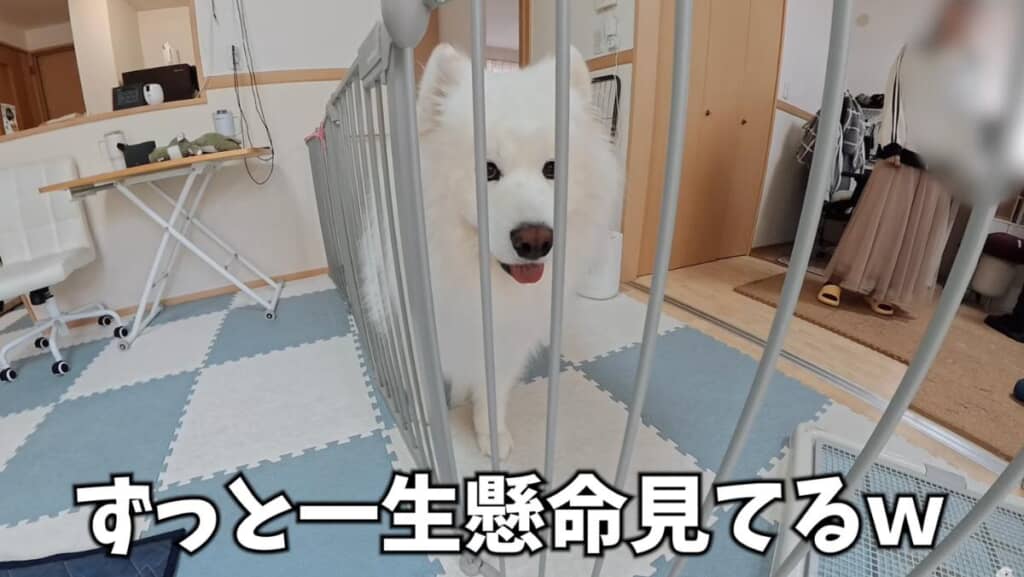 一生懸命に見学中