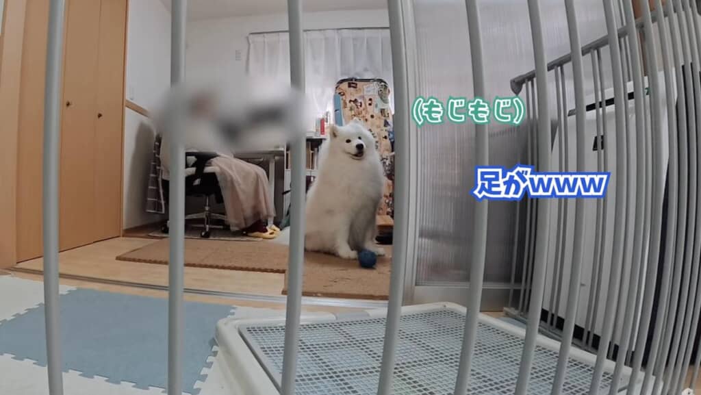 大きな音に驚く場面も