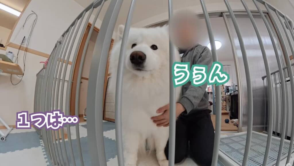 業者さんと会話中？