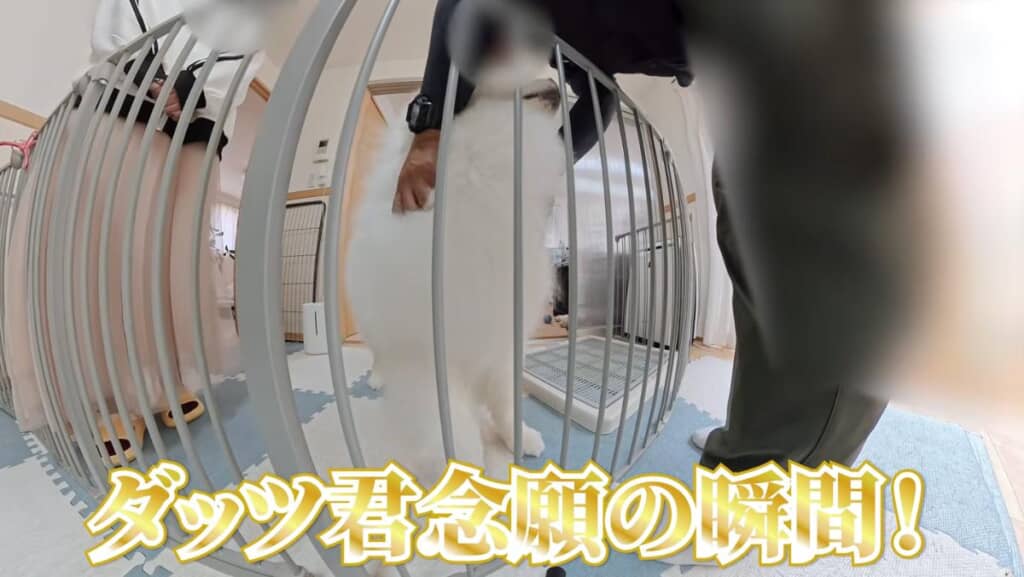 念願の瞬間！