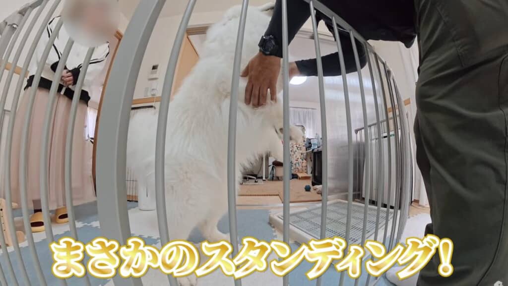 まさかのスタンディング状態!?