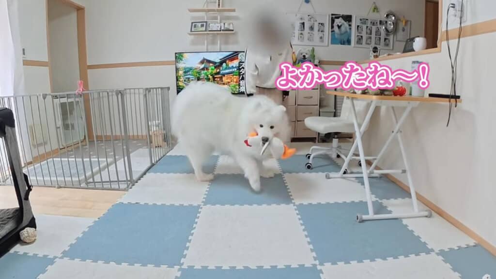 なかなかない体験に興奮が止まりません