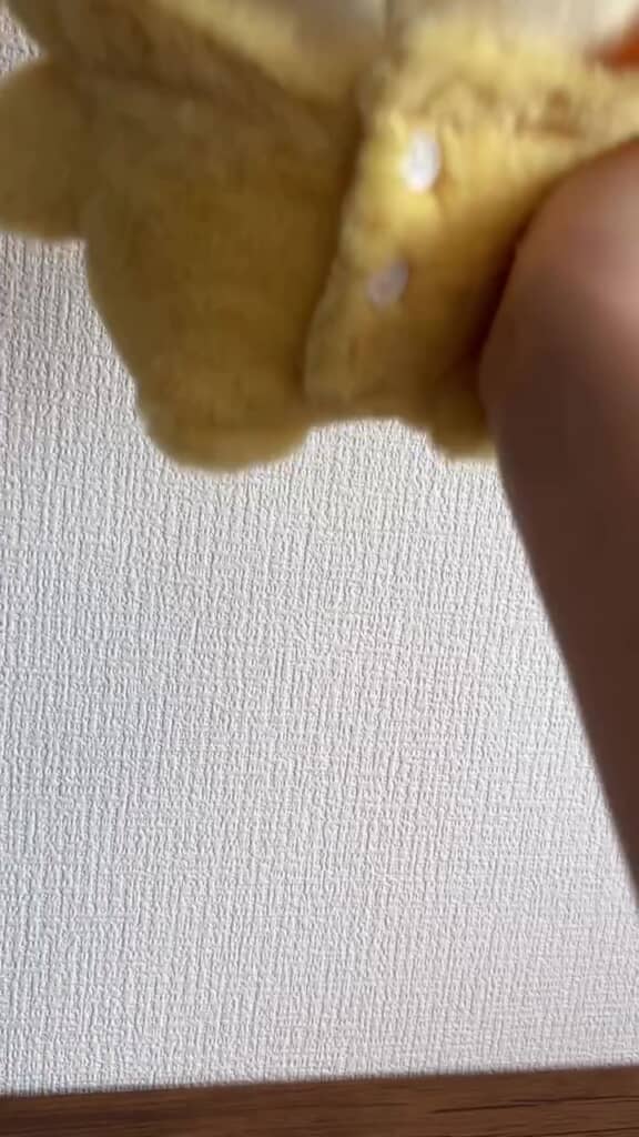 喜ぶうさぎ