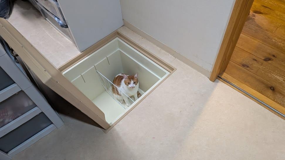 14年暮らしている家にあった床下収納と入り込んだ猫