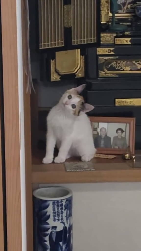 ミミちゃんでした!
