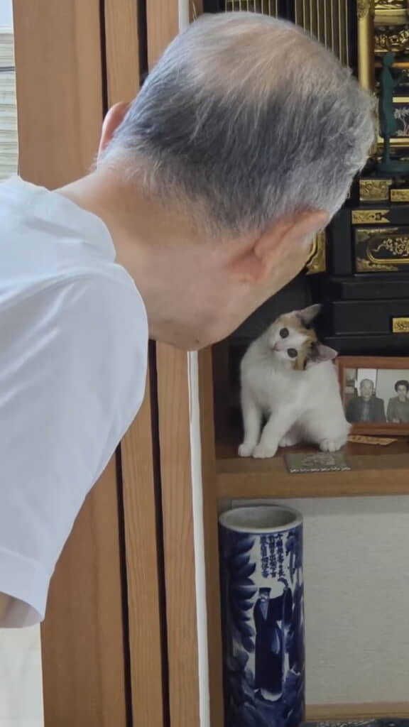 心を通わせている様子