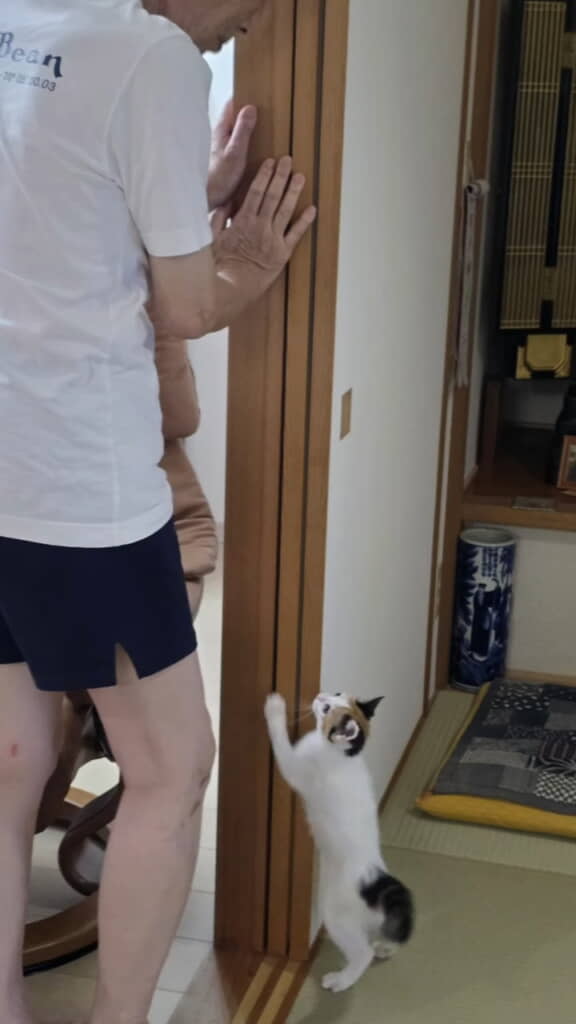 ミミちゃん、気になっておじいちゃんの元へ